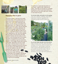 Load image into Gallery viewer, Lost the Plot – Paperback Allotment Book, Allotment Guide, 'Grow your Own' and Allotmenteering.
