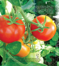 Load image into Gallery viewer, Lost the Plot - eBook: Allotment Book, Allotment Guide, 'Grow your Own' and Allotmenteering by Allotment Junkie®
